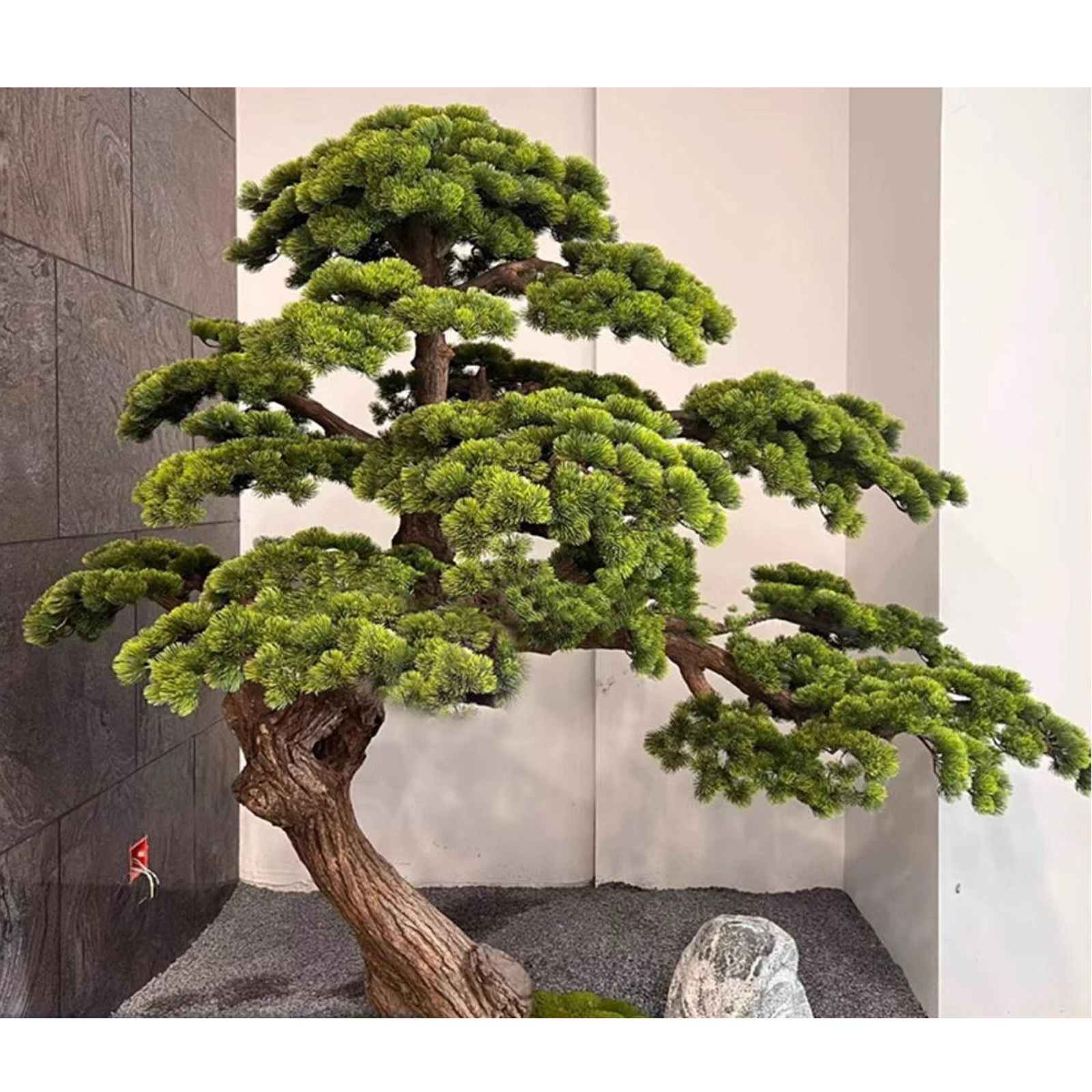 Simulation Podocarpus Tree Landscape Venue Decoration
